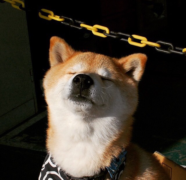 德甲争冠战之夜，中场节拍器与交响诗篇