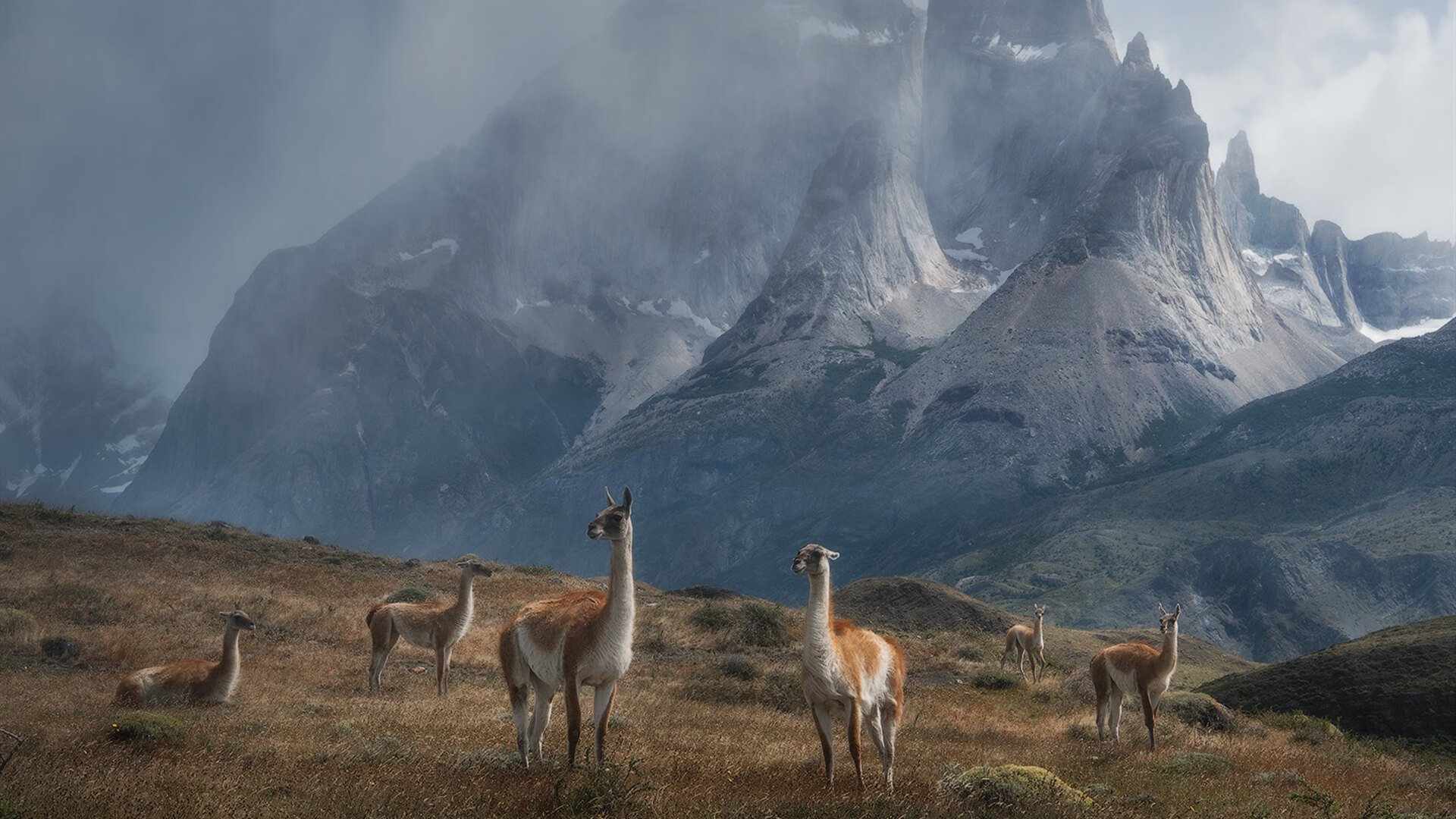 跨界巅峰对决，塞内加尔在NBA季后赛式焦点战中压哨绝杀罗马