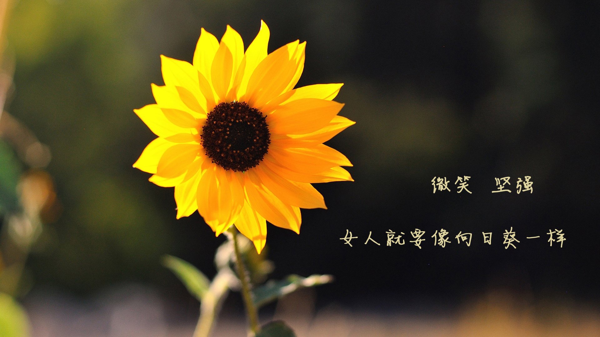 巴黎圣日耳曼淘汰奥地利劲旅，门迪成关键先生持续制造杀伤