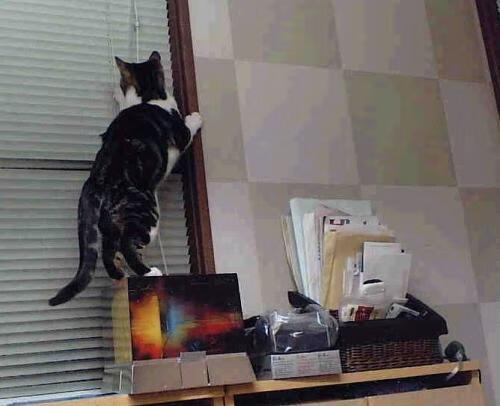 文班亚马爆砍50+20隔扣新疆双塔,76人狂胜45分令对手沦为得分荒漠