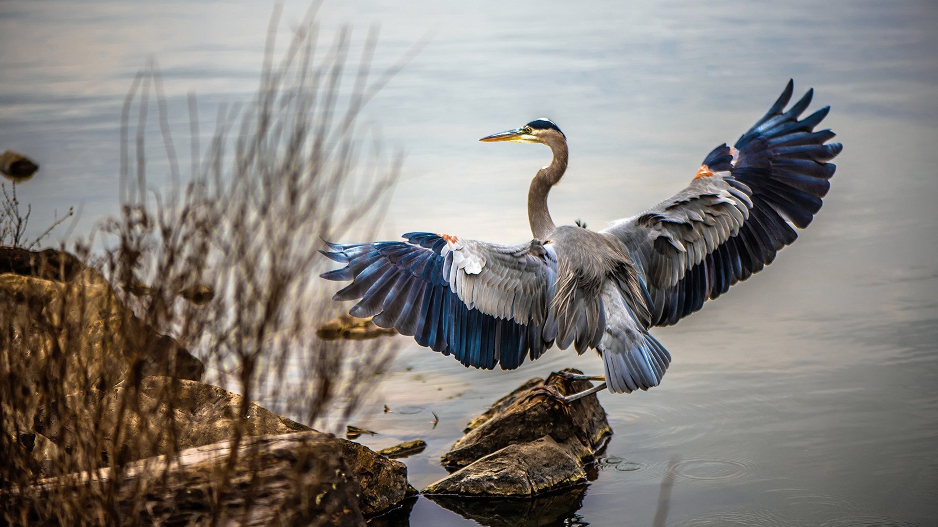 征服不同海拔的传奇