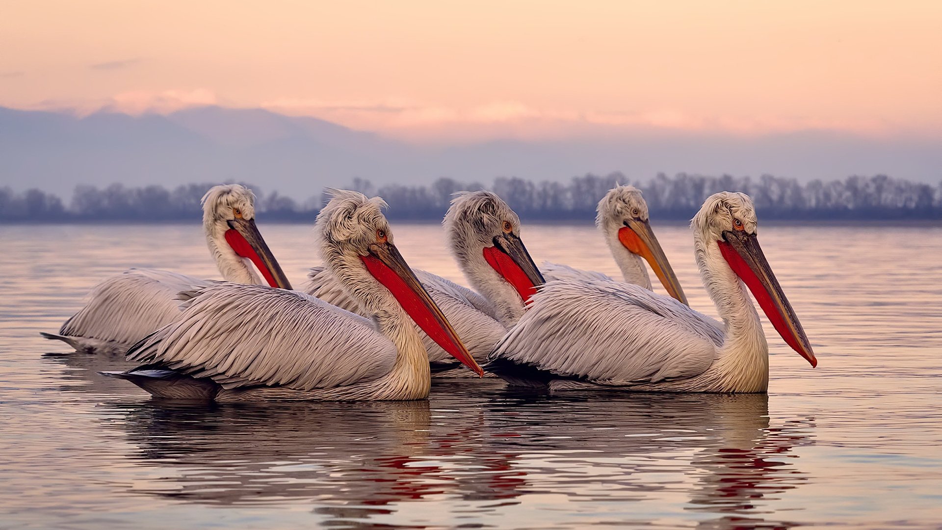 王储的证明，当内马尔在绝境中完成加冕