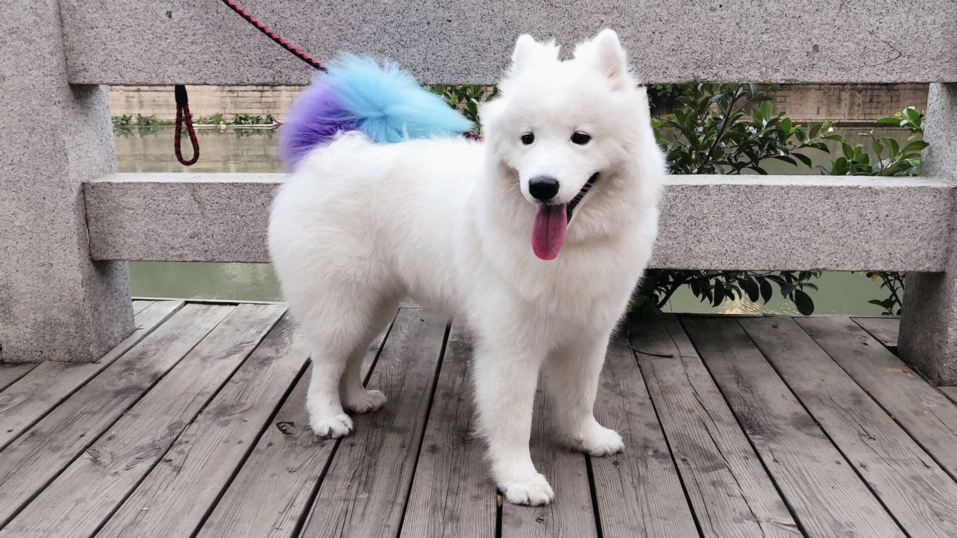 熔断与铸剑，当突尼斯在芬兰的钢铁防线前，于末节熔断宿命，法比尼奥于重压下完成英雄的铸就