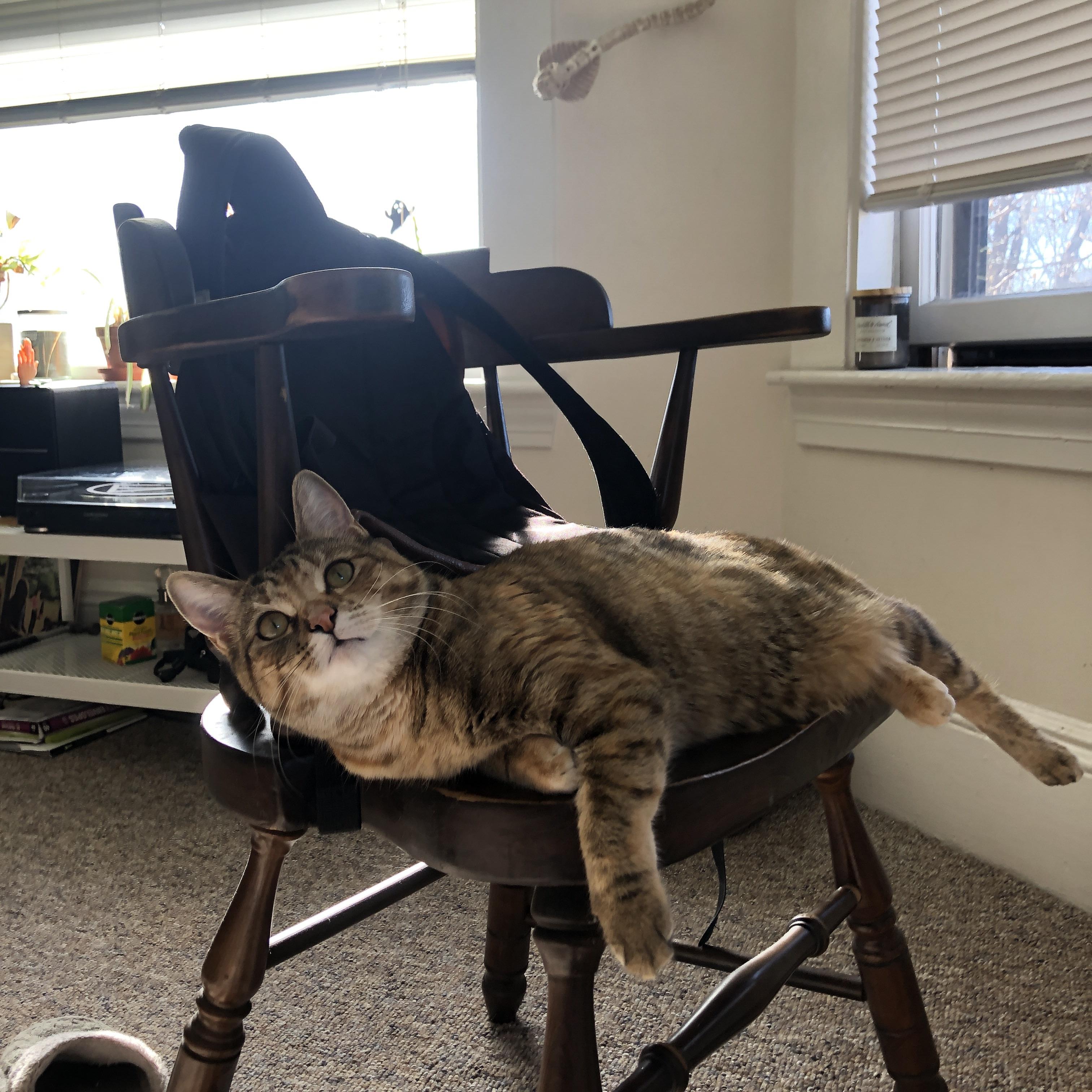 冰与火的碰撞，尤文用意大利式坚韧淘汰激情几内亚，奥纳纳门前铸就不败神话