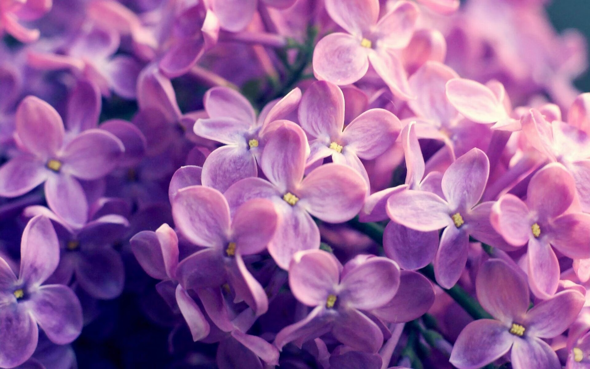 班凯罗空降CBA？辽宁队最后时刻惊天逆转击败勇士！