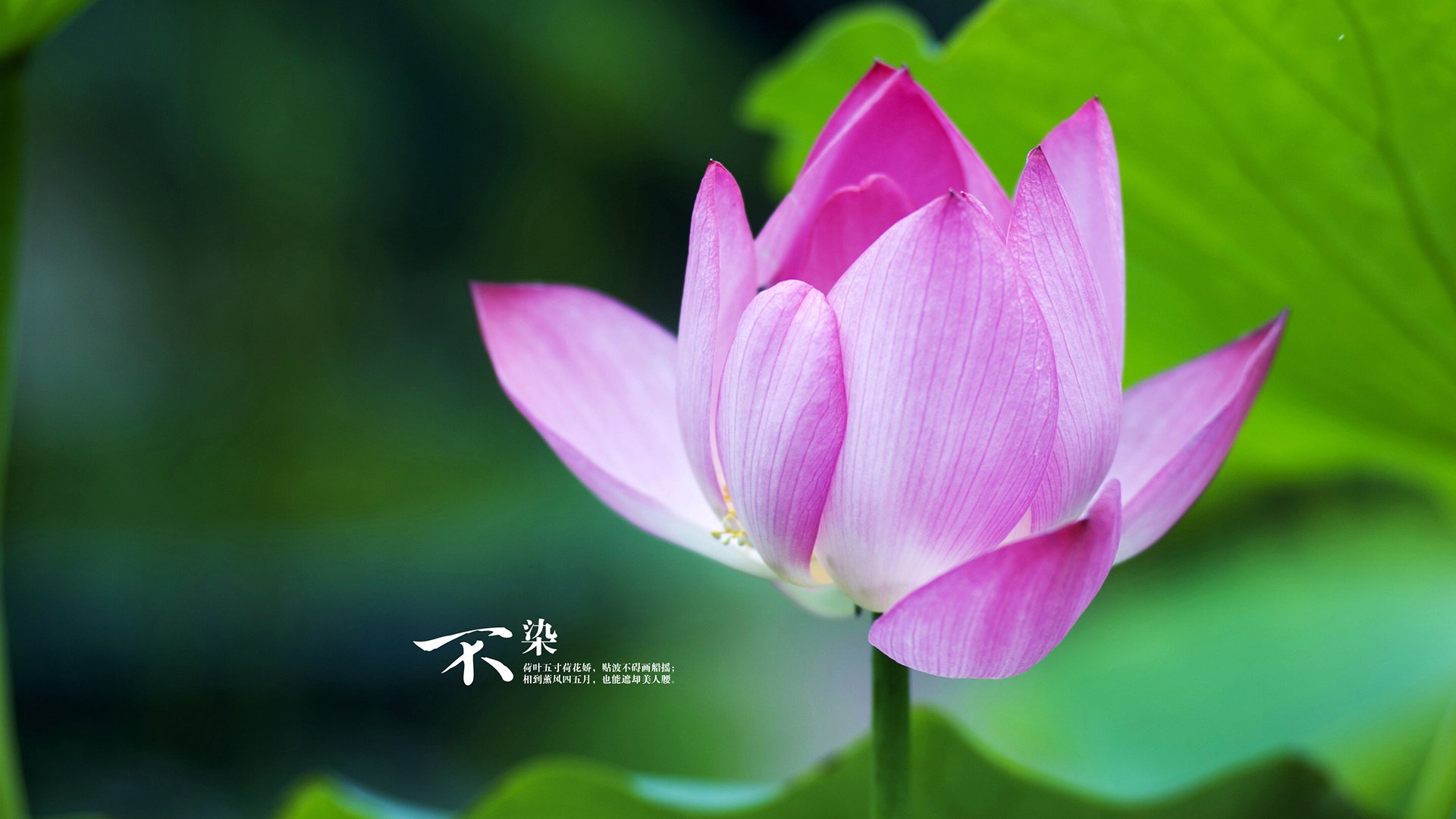 魔术编织的网，与哈登解构的方程式，两种制霸背后的篮球真谛