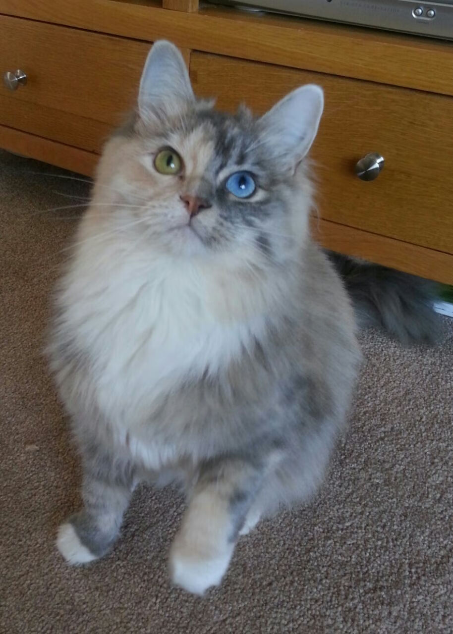 奥运关键热身，马竞加时取胜新西兰，努涅斯接管比赛