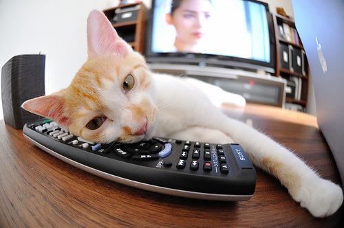 绝境英雄，哈登变身关键先生，奇才横扫活塞的背后