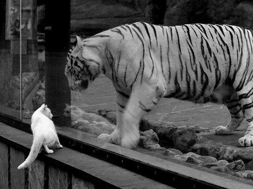 金门桥上空的逆行者，当德罗赞用古典技艺肢解现代篮球