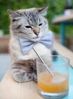 点石成金，戈麦斯在风暴中为皇马赢得硬仗