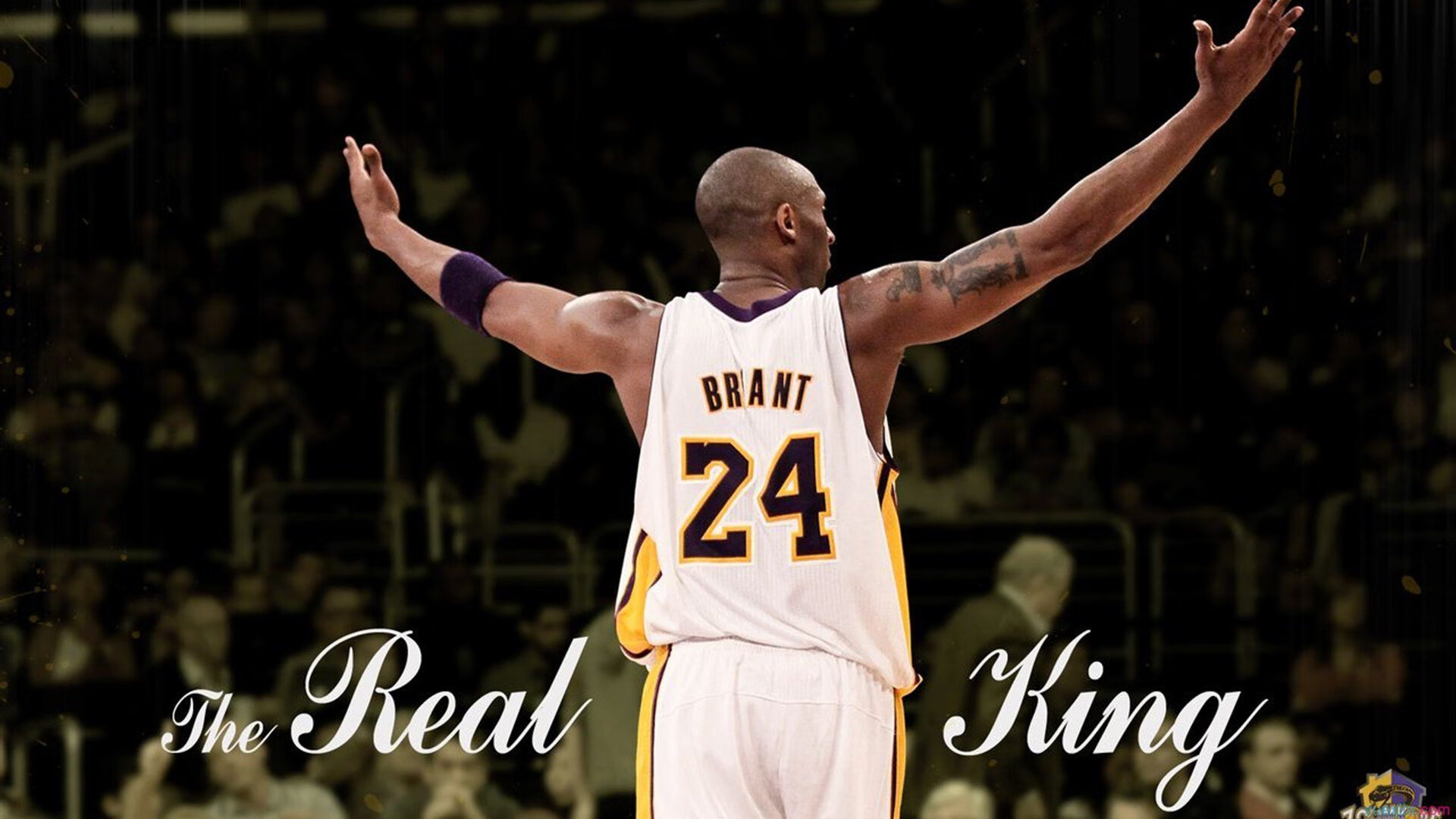 冰火两重天，广厦爆冷背后的警示与布伦森的实力宣言