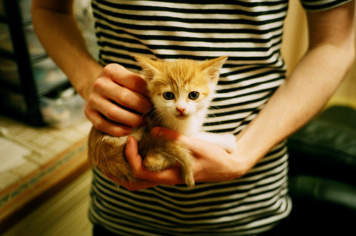 当冠军基因遭遇跨越太平洋的对话，莫兰特31分率步行者踏平深圳队的背后启示