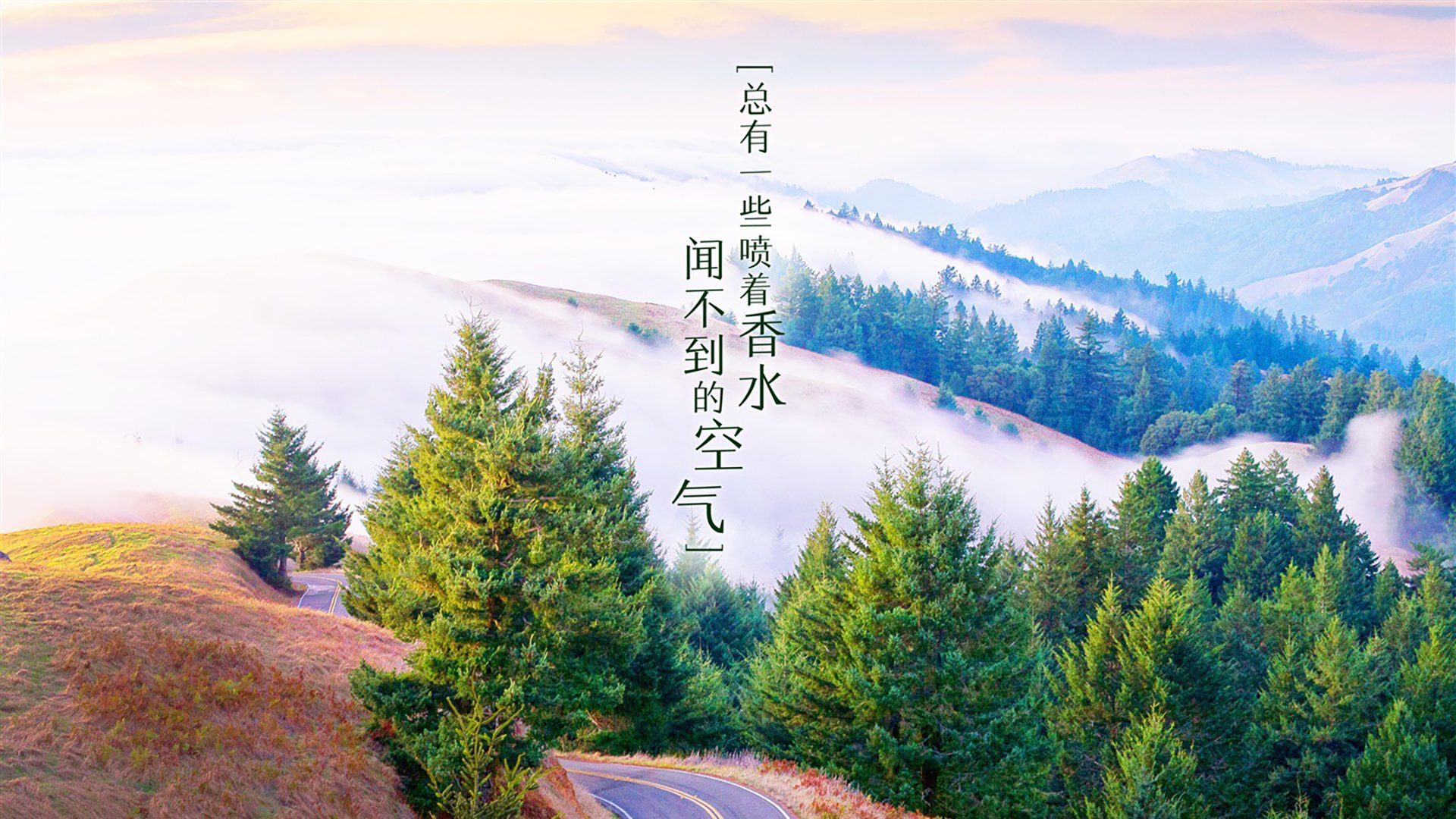 黑马绝响，哈基米一个人的保加利亚奇迹，与巴西的尊严之战