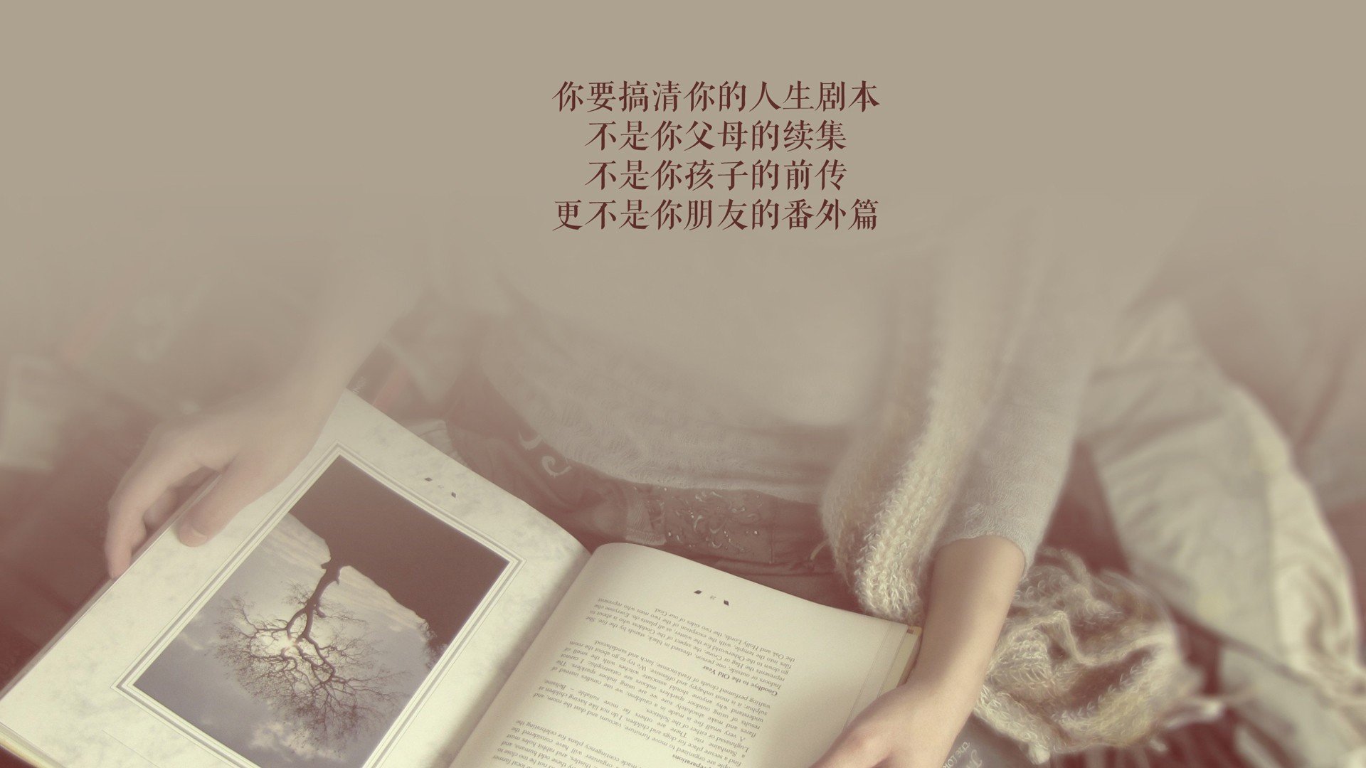 西西里岛的刺客—加维的致命一击如何让亚平宁风暴席卷樱花之都